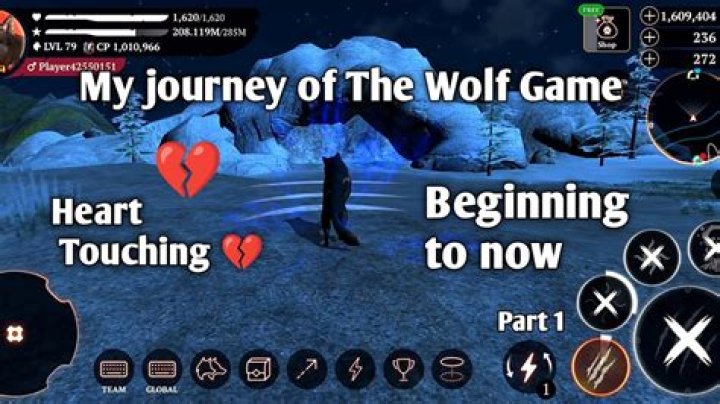 A Unique And Heart-touching Journey