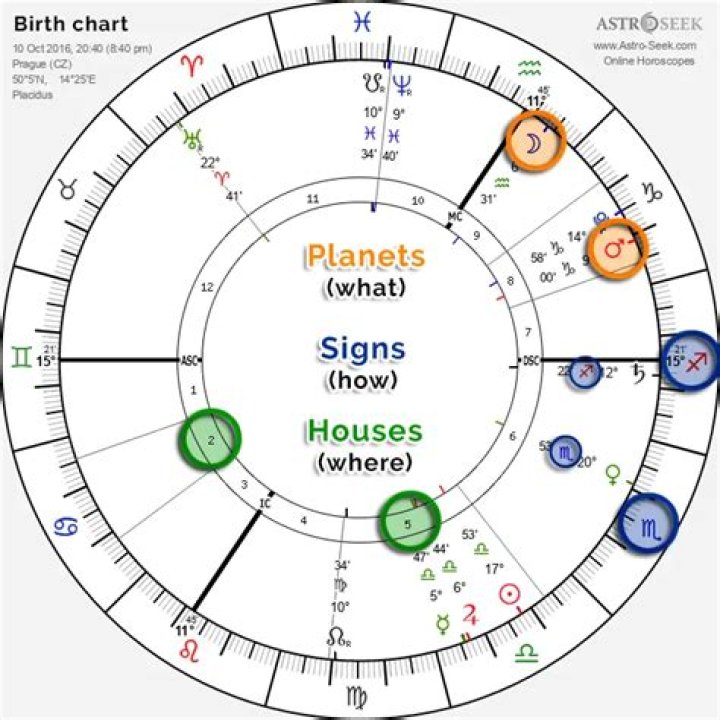 Astrology Birth Chart of Tami Roman (Reality Star) 2024