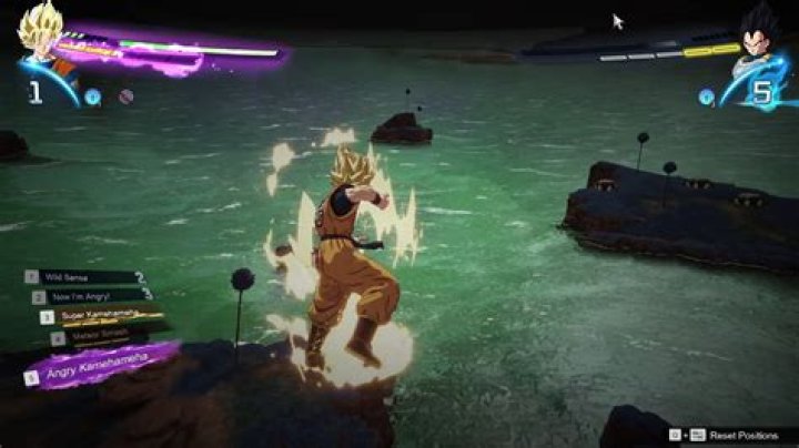 Goku's Special Training