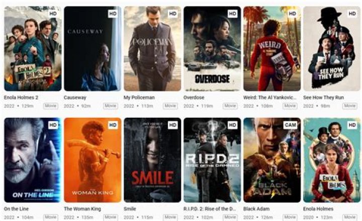 Hdmovieshub: Your Ultimate Guide to Streaming and Downloading Movies