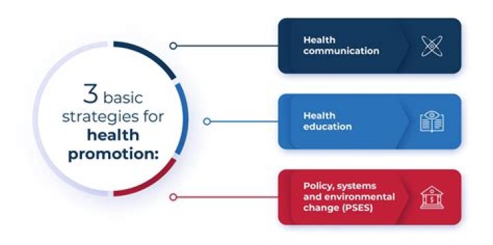 Impact, Lessons, And Protection Strategies