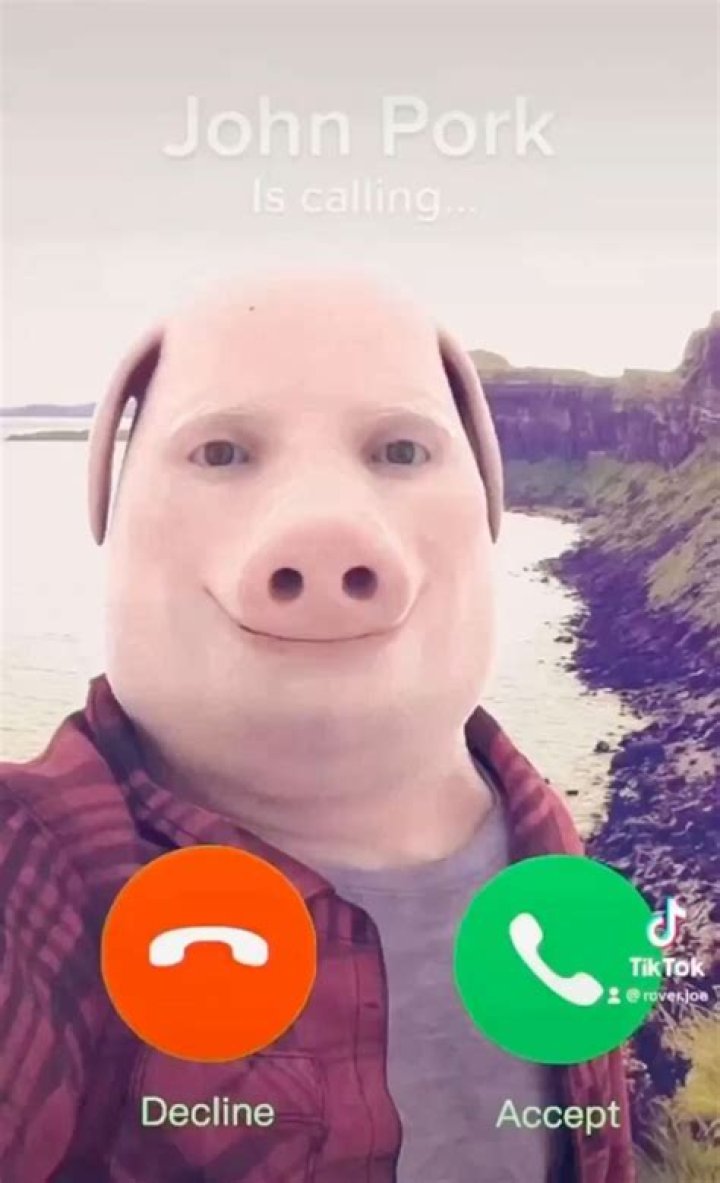 John Pork Found Dead? Truth Behind the Viral TikTok Calling Meme ·