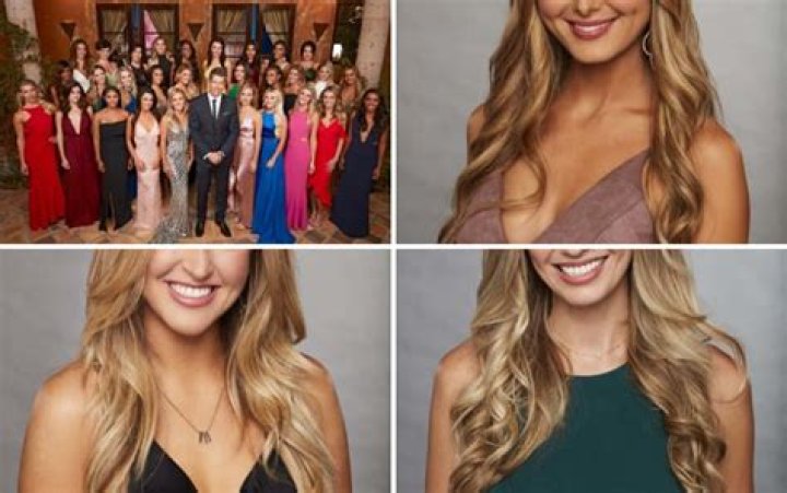 The Bachelor Season 22 Cast: Official Photos, Descriptions Revealed!
