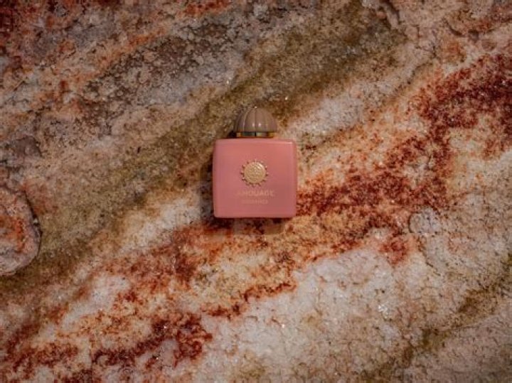 Tom Bessamra: A Deep Dive into the Life and Work of a Rising Star