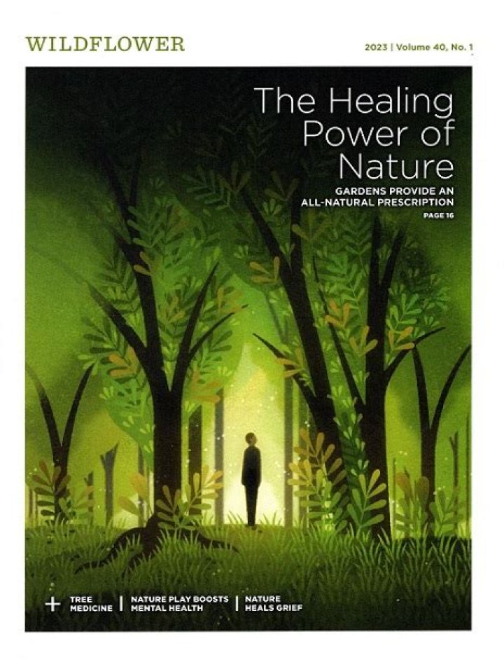 Unlock the Healing Power of Rob Lowe Stroke