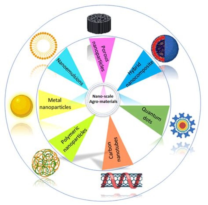 Unveiling The Inclusion Of Elektra Lopez In Wikipedia Partner Erik's Article